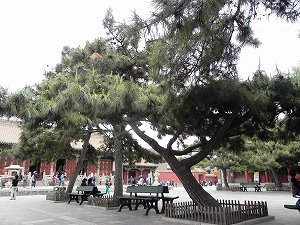 s-20120512 shinyo (28).jpg